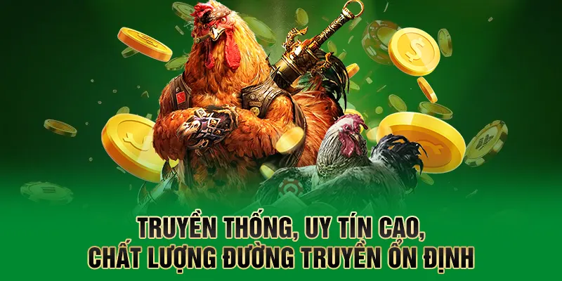Đá Gà QQ88 – Sân Chơi Cá Cược Được Yêu Thích Hàng Đầu Tại QQ88 2 Truyền thống, uy tín cao, chất lượng đường truyền ổn định